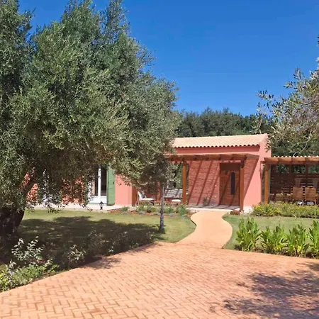 Elysian Olive Spartia (Kefalonia)